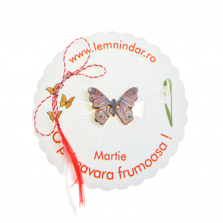 Martisor-brosa cu un fluturas cu model mov cu albastru [4]