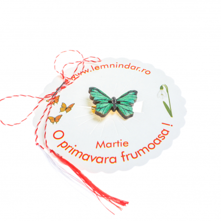 Martisor-brosa cu un fluturas model cu verde si negru [1]