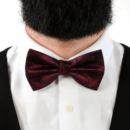 Papion visiniu cu butoni si batista [8]