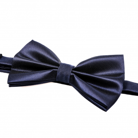 Papion albastru inchis cu butoni si batista [6]