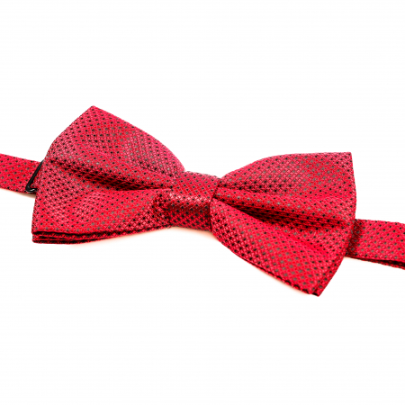 Papion rosu cu puncte negre cu butoni si batista [6]