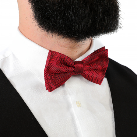 Papion rosu cu puncte negre cu butoni si batista [9]