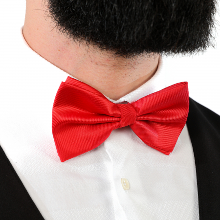 Papion rosu cu butoni si batista [9]