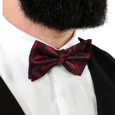 Papion visiniu cu butoni si batista [9]