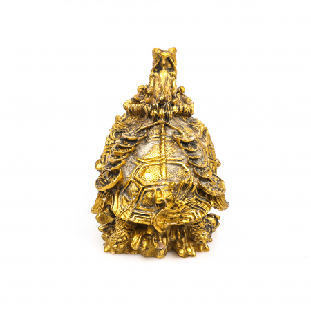 Statueta Feng Shui Broasca Testoasa cu cap de dragon si lant de monede, pentru noroc si bunastare [5]