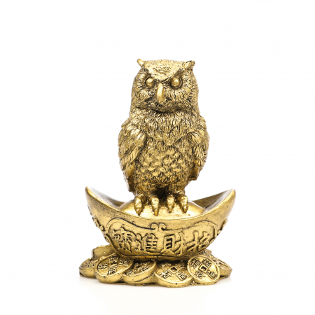 Statueta Feng Shui bufnita pe bani si pepita pentru cariera si bani [3]