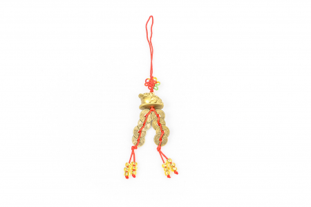 Feng Shui - Amuleta canaf Feng Shui broasca raioasa cu monede chinezesti