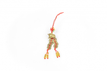 Amuleta canaf Feng Shui broasca raioasa cu monede chinezesti [2]