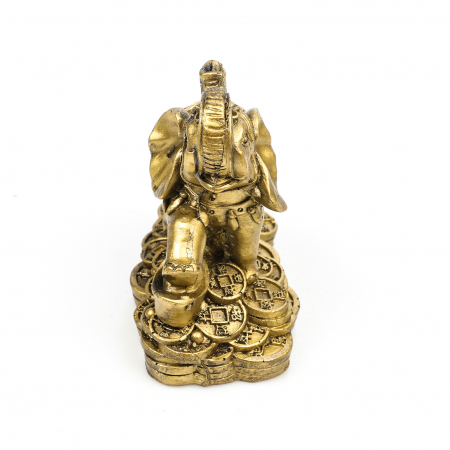 Statueta Feng Shui elefant pe bani [6]