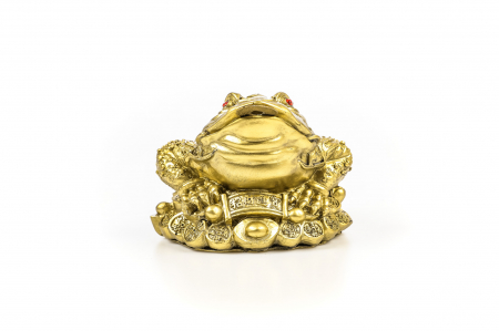 Broasca foarte mare pentru bunastare generala si noroc in viata profesionala [4]