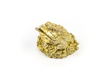 Broasca foarte mare pentru bunastare generala si noroc in viata profesionala [2]