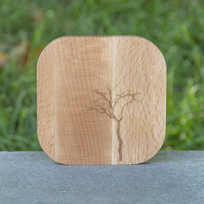 Suport pahare din lemn de fag 9x9x1cm Copac 2 [3]