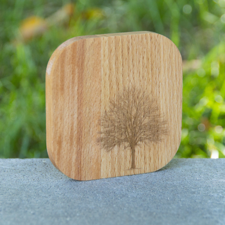 Suport pahare din lemn de fag 9x9x1cm, Copac 3 [1]