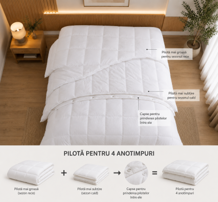 Pilote - Pilote 4 anotimpuri