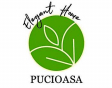 PUCIOASA