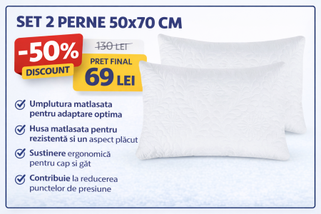 LICHIDARE STOC - Set 2 Perne matlasate 50x70 cm-CD1