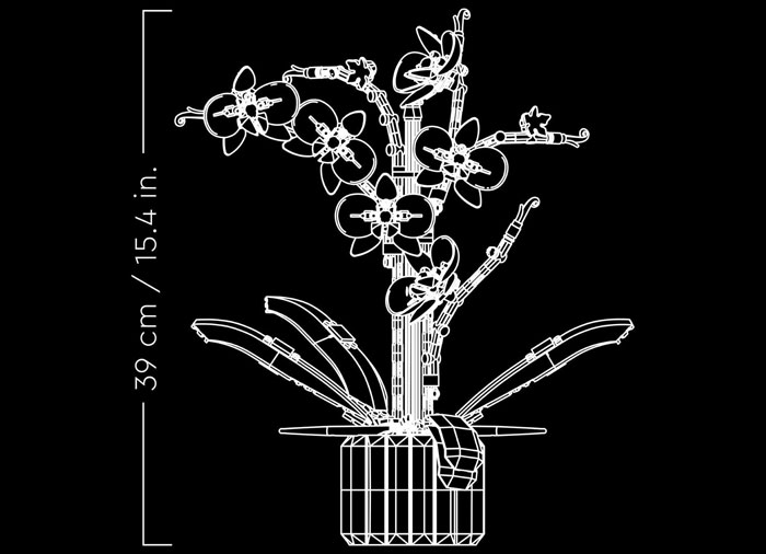 Orhidee - Ambalaj deteriorat [9]