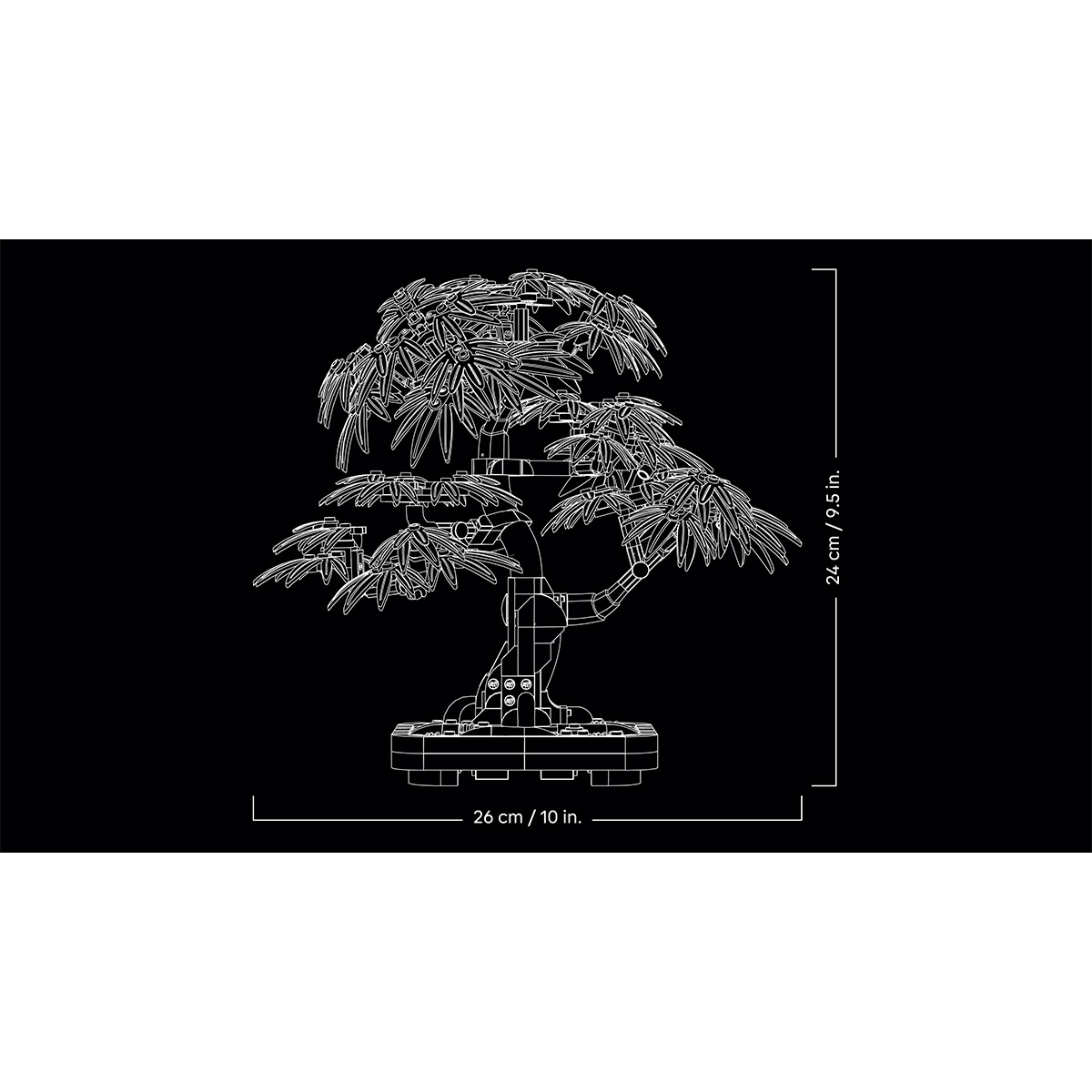 Bonsai de artar japonez rosu - Ambalaj deteriorat [8]