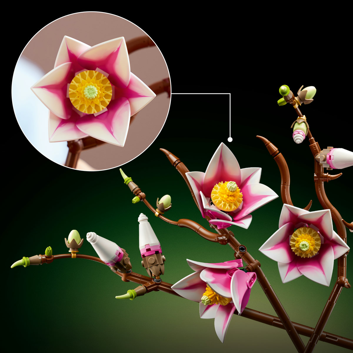 Ramuri de magnolie - Ambalaj deteriorat [4]