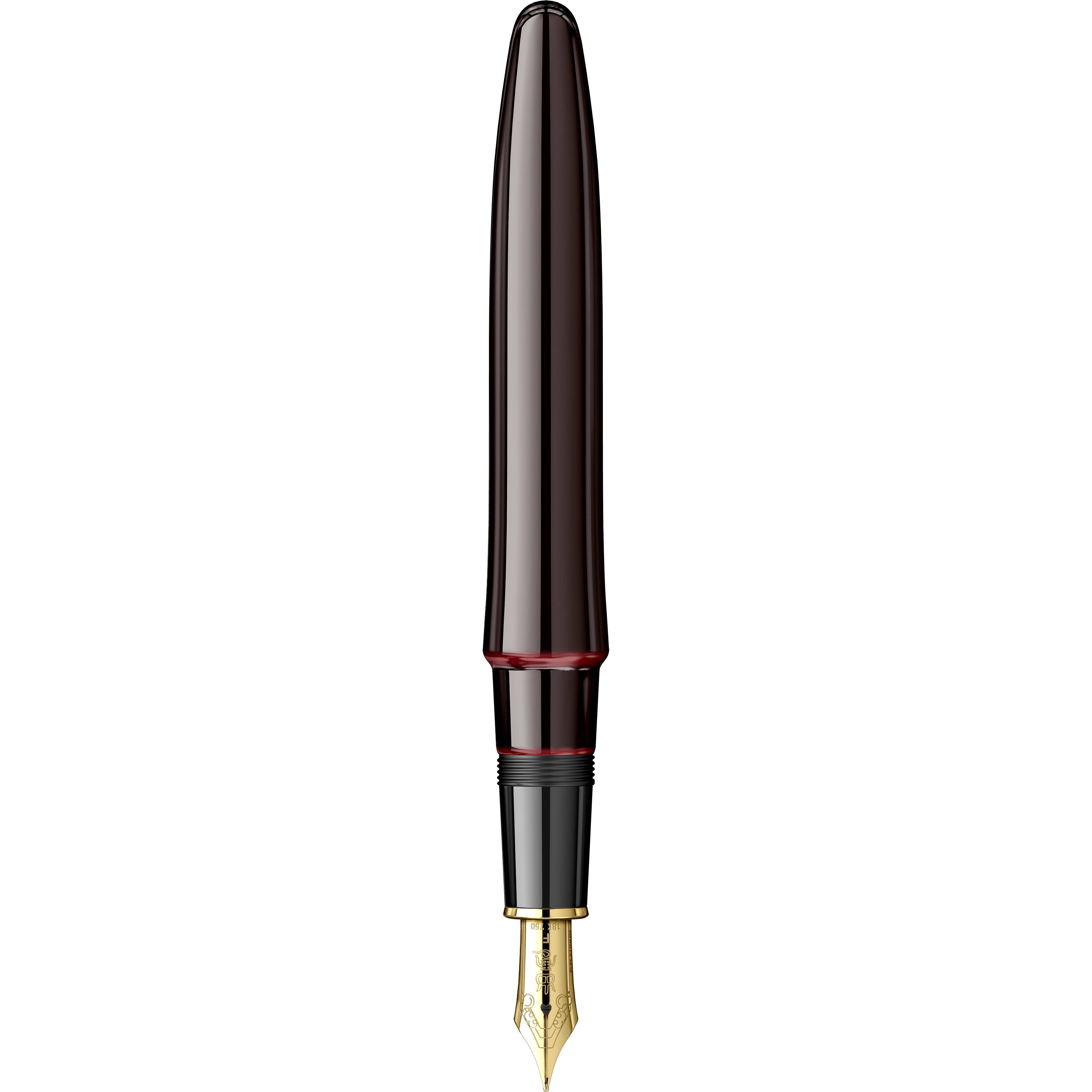 Rechizite, Creativitate, Hobby - Stilou Platinum Izumo Tamenuri Akatame GT F