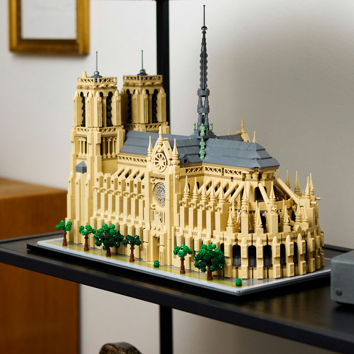 Notre-Dame de Paris - Ambalaj deteriorat [7]