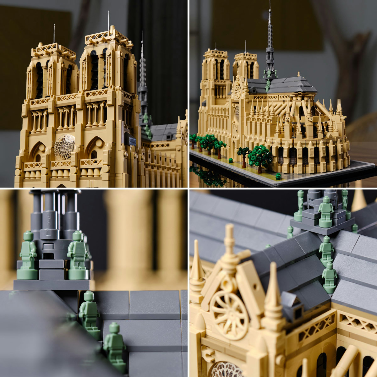 Notre-Dame de Paris - Ambalaj deteriorat [8]