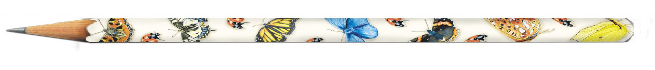 Arta - Creion Natura, Fridolin