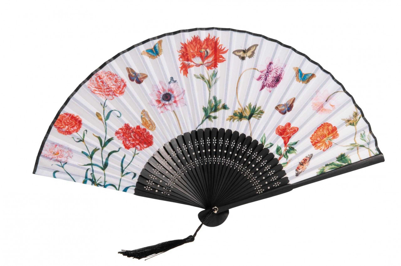 Jocuri si jucarii - Evantai Maria Sibylla Merian, Fridolin