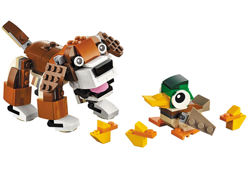 Animale din parc (31044) [1]