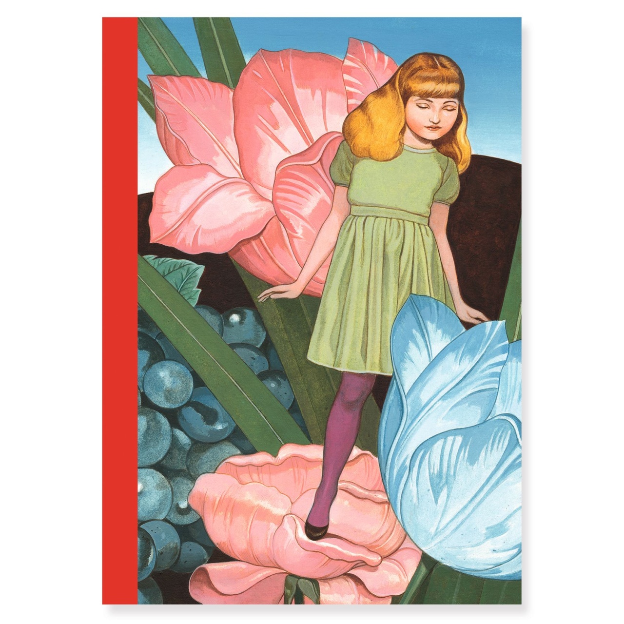 Set 2 carnetele Fedora, Djeco [2]