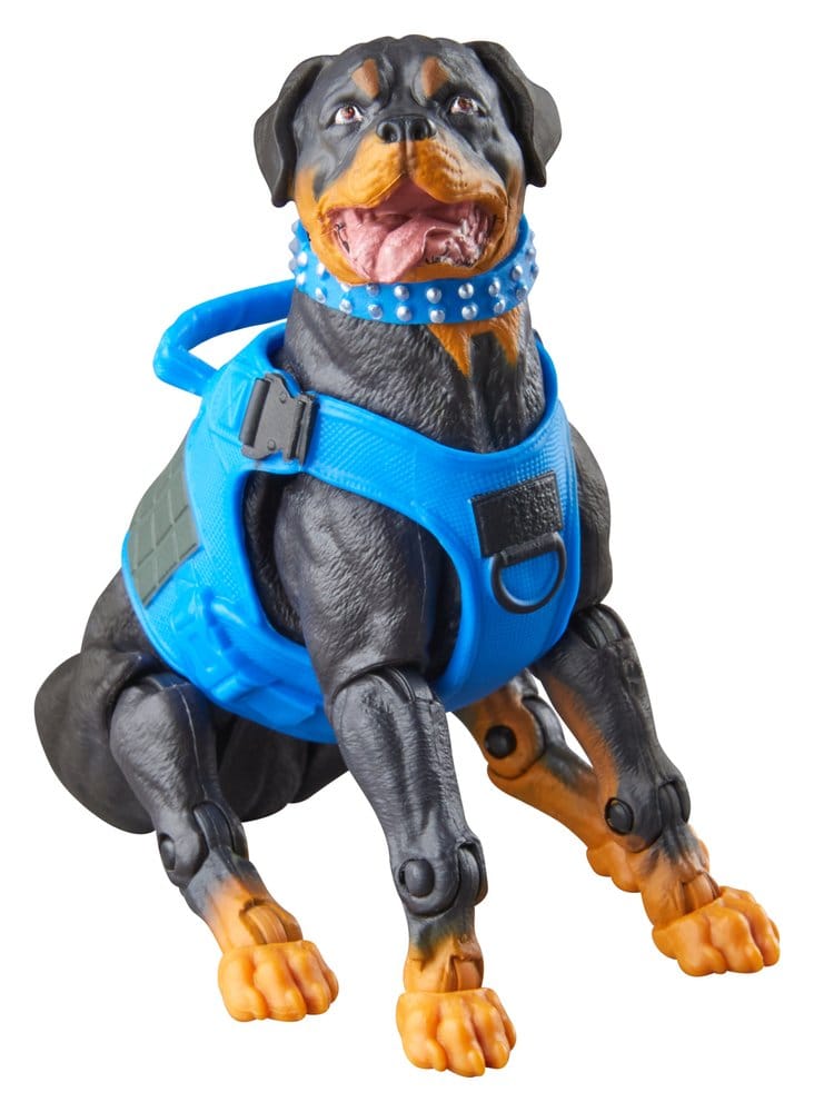 G.I. Joe Classified Series Action Figure 3-Pack #220 Mad Marauders: Footloose & Mutt & Junkyard 15 cm [6]