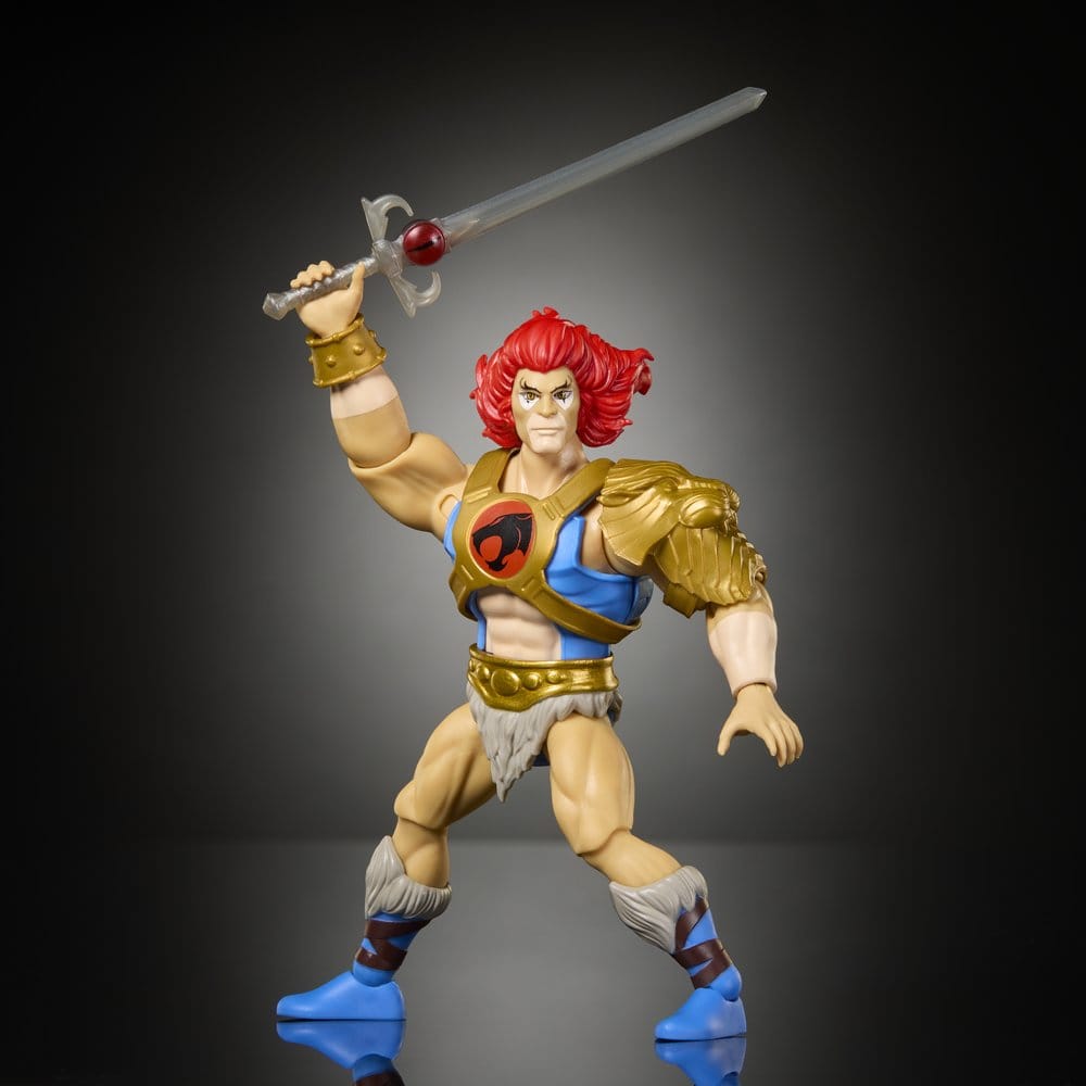 Masters of the Universe x ThunderCats Action Figure Lion-O 14 cm [4]