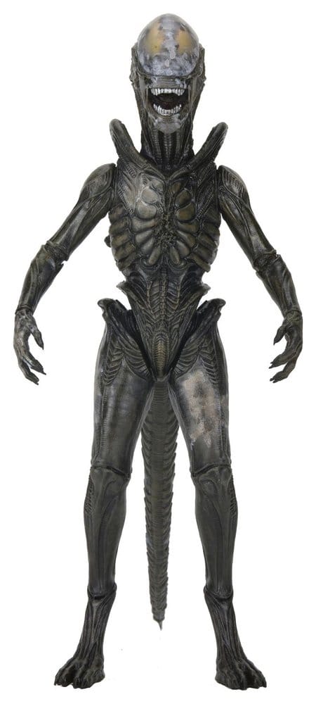 Alien: Earth Ultimate Action Figure Wendy's Xenomorph 18 cm [3]