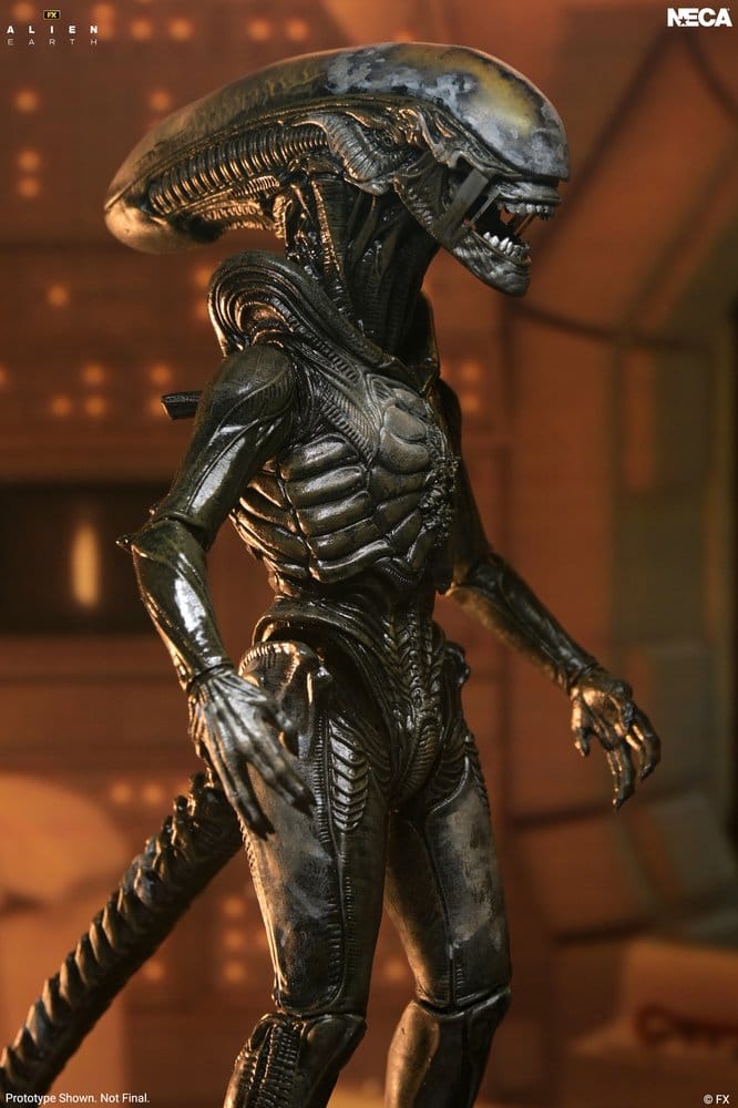 Alien: Earth Ultimate Action Figure Wendy's Xenomorph 18 cm [1]