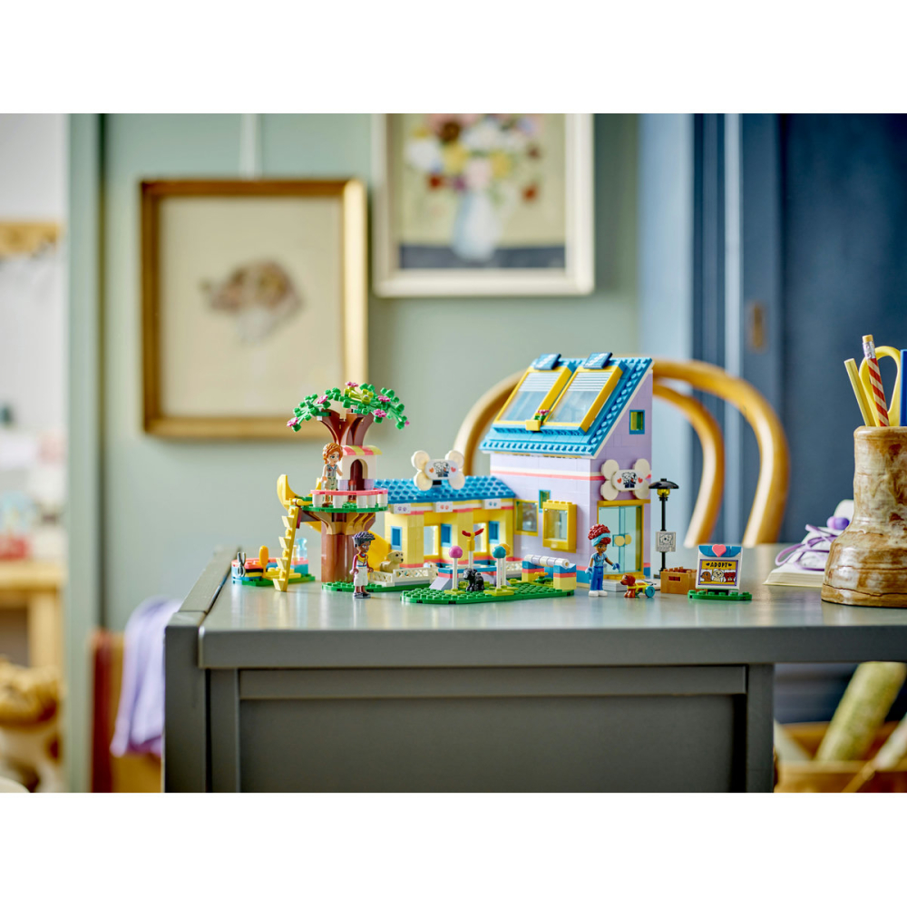 Adapost pentru caini [6]