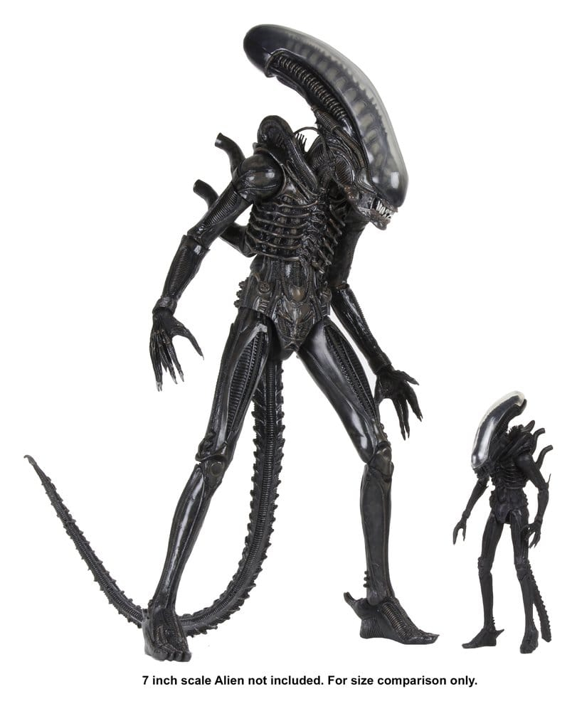 Alien 1/4 Action Figure Big Chap 56 cm [12]