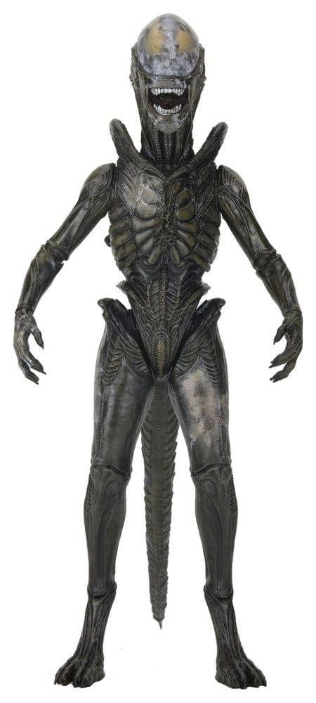 Alien: Earth Ultimate Action Figure Wendy's Xenomorph 18 cm [4]