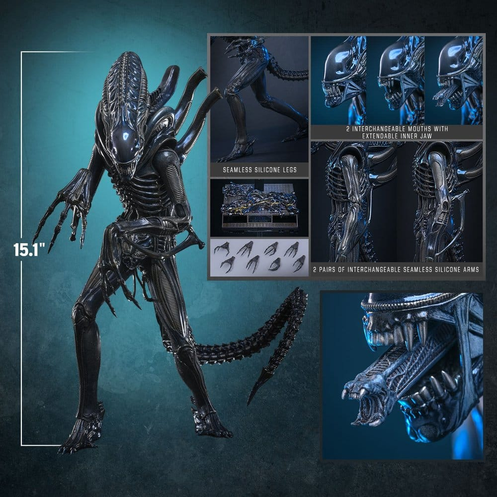 Alien Movie Masterpiece Action Figure 1/6 Alien Warrior 39 cm [18]