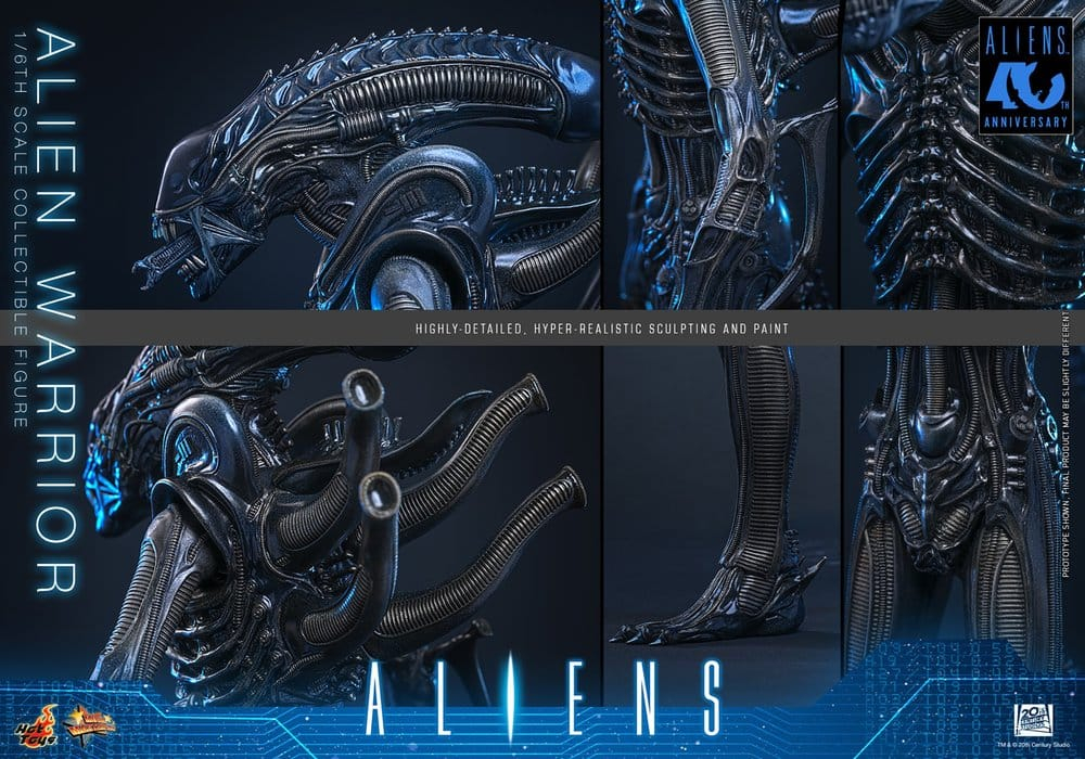 Alien Movie Masterpiece Action Figure 1/6 Alien Warrior 39 cm [12]