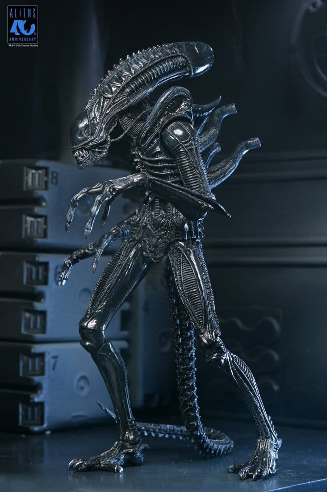 Aliens Ultimate Action Figure Warrior (1986) Xenomorph Black (40th Anniversary) 23 cm [5]