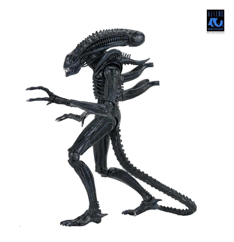 Aliens Ultimate Action Figure Warrior (1986) Xenomorph Black (40th Anniversary) 23 cm [19]