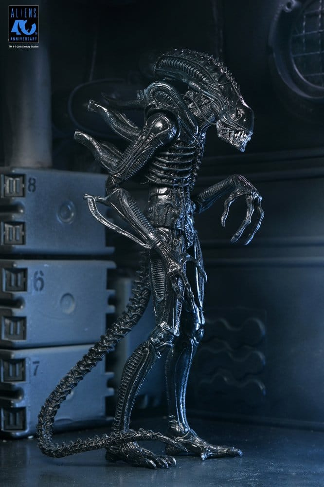 Aliens Ultimate Action Figure Warrior (1986) Xenomorph Black (40th Anniversary) 23 cm [13]