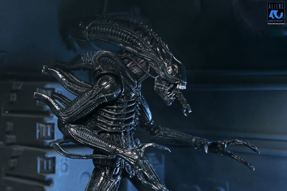 Aliens Ultimate Action Figure Warrior (1986) Xenomorph Black (40th Anniversary) 23 cm [11]