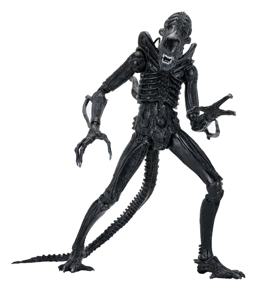 Aliens Ultimate Action Figure Warrior (1986) Xenomorph Black (40th Anniversary) 23 cm [20]