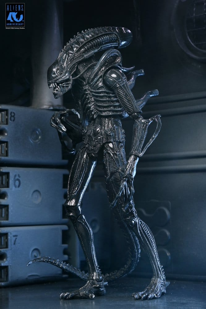 Aliens Ultimate Action Figure Warrior (1986) Xenomorph Black (40th Anniversary) 23 cm [14]