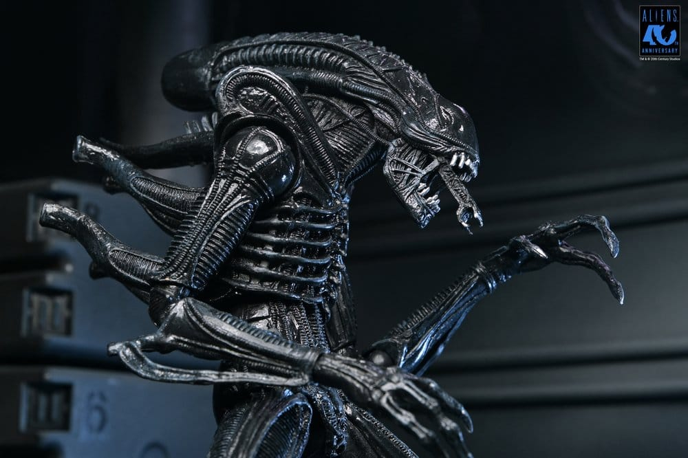 Aliens Ultimate Action Figure Warrior (1986) Xenomorph Black (40th Anniversary) 23 cm [3]