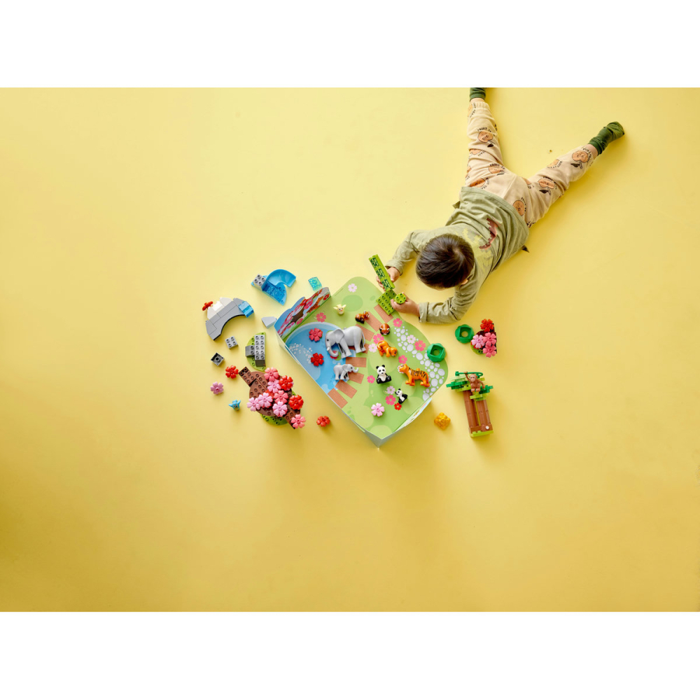 Animale din Asia [4]