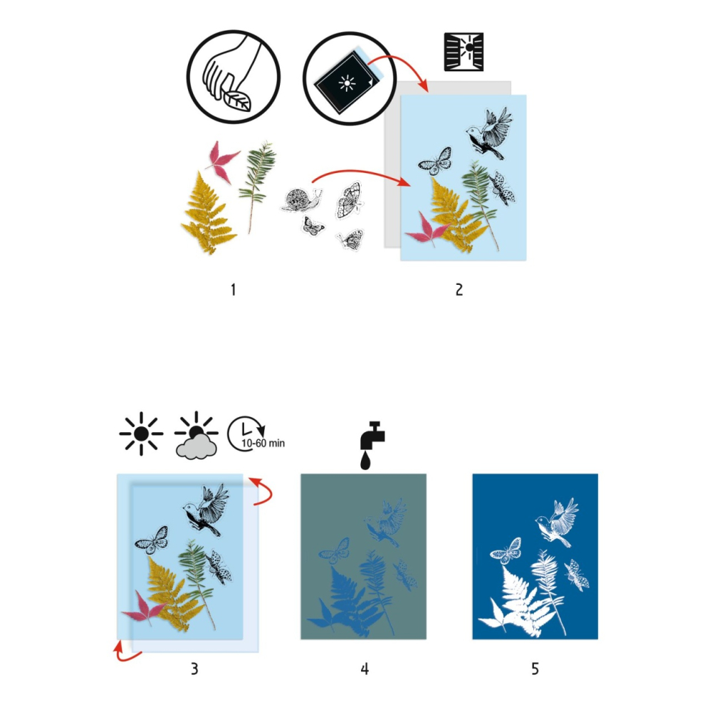 Atelier de creatie Cianotip, Djeco [2]