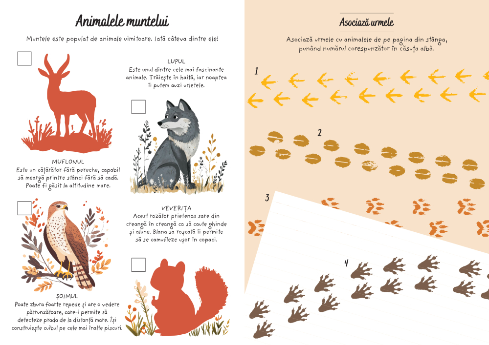 Aventuri la munte – Activitati si abtibilduri 3+ ani DPH [5]