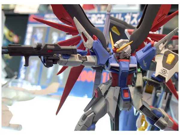 Bandai MG 1/100 Destiny Gundam [3]